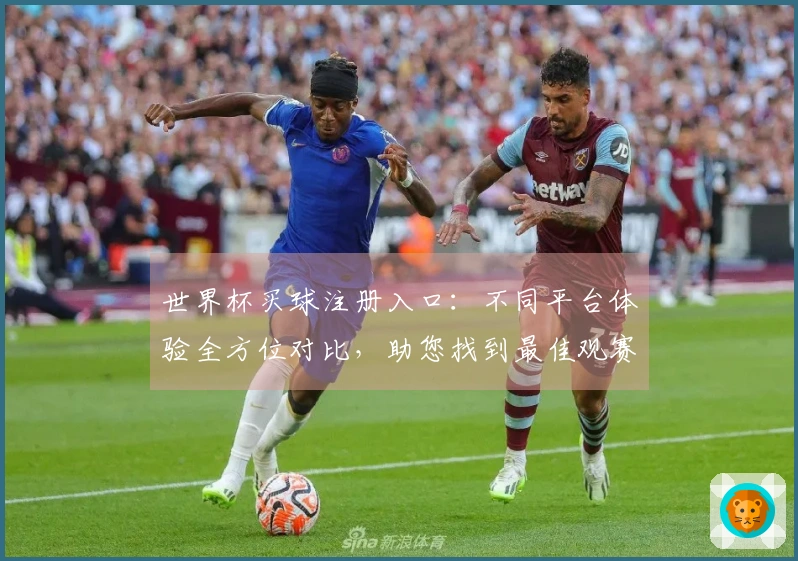 世界杯买球注册入口：不同平台体验全方位对比，助您找到最佳观赛入口