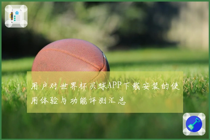 用户对世界杯买球APP下载安装的使用体验与功能评测汇总
