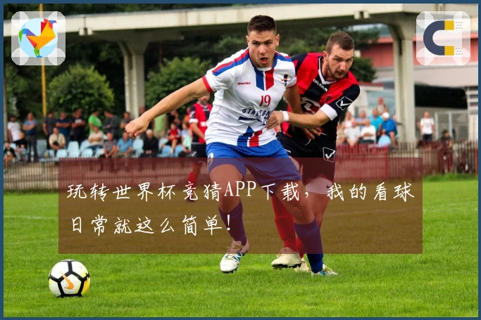 玩转世界杯竞猜APP下载，我的看球日常就这么简单！