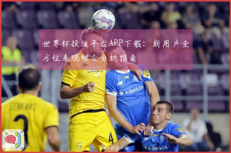 世界杯投注平台APP下载：新用户全方位表现综合分析指南