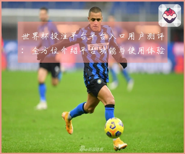 世界杯投注平台平台入口用户测评：全方位介绍平台功能与使用体验