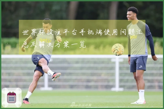 世界杯投注平台手机端使用问题汇总及解决方案一览