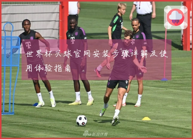 世界杯买球官网安装步骤详解及使用体验指南
