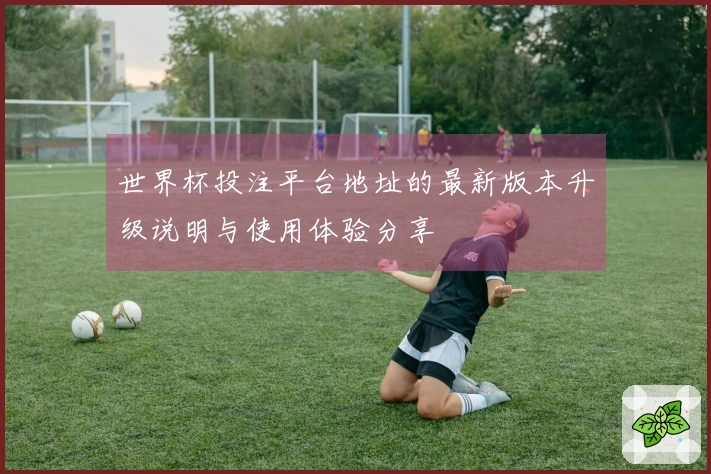 世界杯投注平台地址的最新版本升级说明与使用体验分享