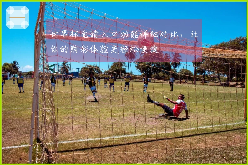 世界杯竞猜入口功能详细对比，让你的购彩体验更轻松便捷