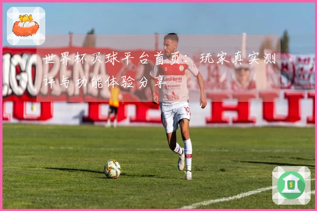 世界杯买球平台首页：玩家真实测评与功能体验分享