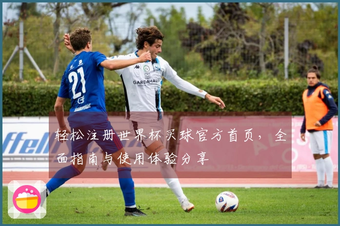 轻松注册世界杯买球官方首页，全面指南与使用体验分享