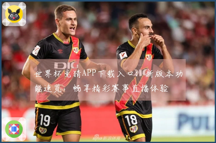世界杯竞猜APP下载入口：新版本功能速览，畅享精彩赛事直播体验