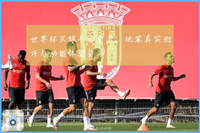 世界杯买球平台首页：玩家真实测评与功能体验分享