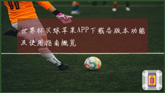 世界杯买球苹果APP下载各版本功能及使用指南概览