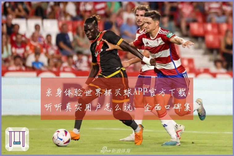 亲身体验世界杯买球APP官方下载，听听真实用户怎么说，全面口碑集锦一览无余