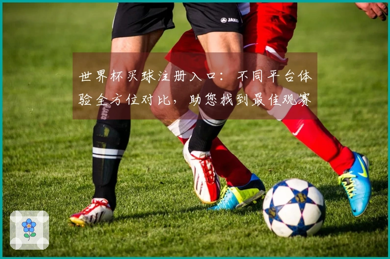 世界杯买球注册入口：不同平台体验全方位对比，助您找到最佳观赛入口