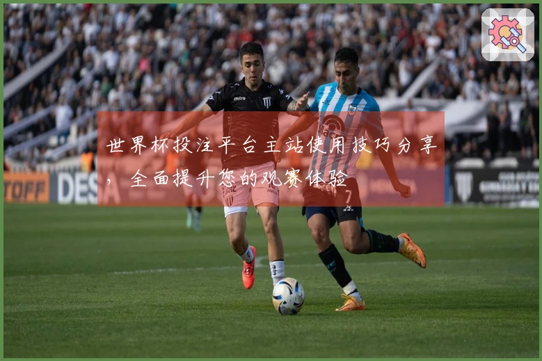 世界杯投注平台主站使用技巧分享，全面提升您的观赛体验