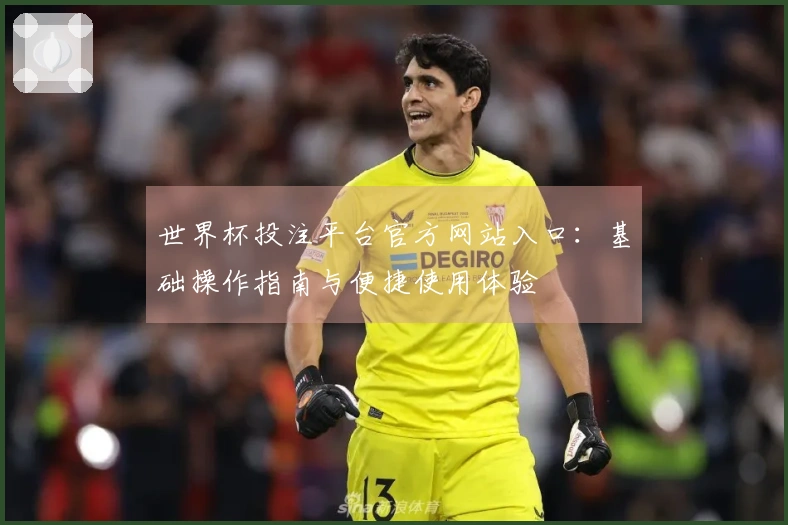 世界杯投注平台官方网站入口：基础操作指南与便捷使用体验